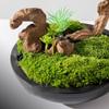 FRANCES Fake Plants Zen Cinese Imitazione Muschio Verde Vaso Per Piante Decorazione Decorazione Tavolo Da Negoziazione Decorazione Paesaggio Decorazione Simulation Bonsai Tree view 3