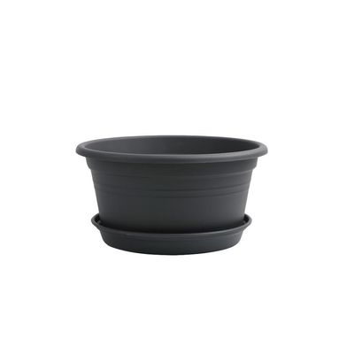 CHICKEN Indoor Flower Pot Plastic Flower Pots with Outdoor Garden Office Decorative Flower Pots Low Plastic Flower Pots Outdoor Flower Pot (Color : A, Size : Small)