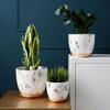 CHICKEN Indoor Flower Pot Modern Simple Nordic Style Ceramic Flower Pot Marble Pattern Literary Flower Pot Balcony Succulent Breeding Pot Outdoor Flower Pot (Size : Small) view 4