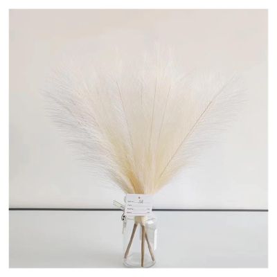 KanaAt Decoration 18"/45cm Artificial Pampas Grass Beige Fake Reed Plants Bouquet Wedding Table Home Living Room Boho Vase Decoration Tail Grass Artificial Flower (Color : 1, Size : 1PC)
