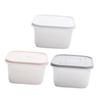 Ciieeo 3pcs Refrigerator Organizer Boxes for Vegetables and Fruits Food Storage Containers Lids Crisper Storage for view 1