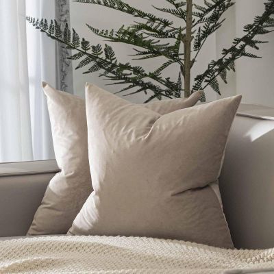 JUSPURBET Decorative Pillow Covers Set of 2 Velvet Throw Pillow Covers for Couch Sofa Bed Soft Euro Cushion Covers Cases with Hidden Zipper for Living Room Home Decor 28x28 inch,Cloud