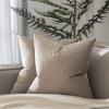 JUSPURBET Decorative Pillow Covers Set of 2 Velvet Throw Pillow Covers for Couch Sofa Bed Soft Euro Cushion Covers Cases with Hidden Zipper for Living Room Home Decor 28x28 inch,Cloud view 1
