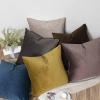 JUSPURBET Decorative Pillow Covers Set of 2 Velvet Throw Pillow Covers for Couch Sofa Bed Soft Euro Cushion Covers Cases with Hidden Zipper for Living Room Home Decor 28x28 inch,Cloud view 3