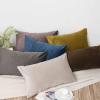 JUSPURBET Decorative Pillow Covers Set of 2 Velvet Throw Pillow Covers for Couch Sofa Bed Soft Euro Cushion Covers Cases with Hidden Zipper for Living Room Home Decor 28x28 inch,Cloud view 4