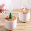 BNVXR Fashion Desktop Toothpick Holder Plastic with Transparent lid Toothpick Dispenser Minimalist Cotton Swab Storage Box Home Bath Chic view 4