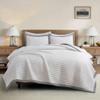 Bonlino White Quilt Set Queen Size - Farmhouse Soft Striped Stitch Bedding Bedspread Coverlet Summer Lightweight Quilt Bed Sets with 2 Pillow Shams for Home All Season with Grey Border view 1
