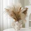 Hubceuo Coral Vase Nordic Art Container for Flower Pampas Grass Vase Living Room Tabletop Centerpieces Decor Creamy-White A High Guality view 4