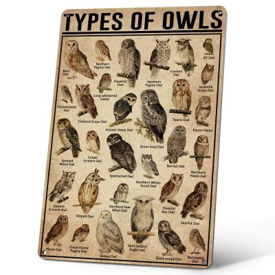 Homely Accents Vintage Owl Decor Tin Sign for Home Room Wall Decor Kid Gift