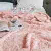 XHCTNN Simple Plush Blanket, Imitation Rabbit Plush & Milk Velvet Double Sided Warm Blankets - Super Soft Cozy Fuzzy All Seasons Throw Blanket/Knee Blanket/Home Decor Blanket(E,200 * 230cm/79 * 91") view 2