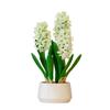 365 Blooming Decor 16 inch Tall White Potted Faux Hyacinth Flower Plant with River Stone-Luxury Artificial Garden Hyacinth for Home, Office Decoration, Housewarming view 1