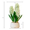 365 Blooming Decor 16 inch Tall White Potted Faux Hyacinth Flower Plant with River Stone-Luxury Artificial Garden Hyacinth for Home, Office Decoration, Housewarming view 3