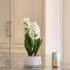 365 Blooming Decor 16 inch Tall White Potted Faux Hyacinth Flower Plant with River Stone-Luxury Artificial Garden Hyacinth for Home, Office Decoration, Housewarming view 4