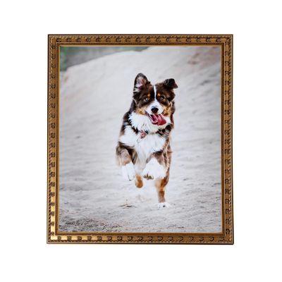 ArtToFrames 22x28 Inch Gold Picture Frame, This 0.75 Inch Custom Wood Poster Frame is Gold with Star - Comes with Foam Backing 3/16 inch and Regular Acrylic (FBPLD9329-22x28)