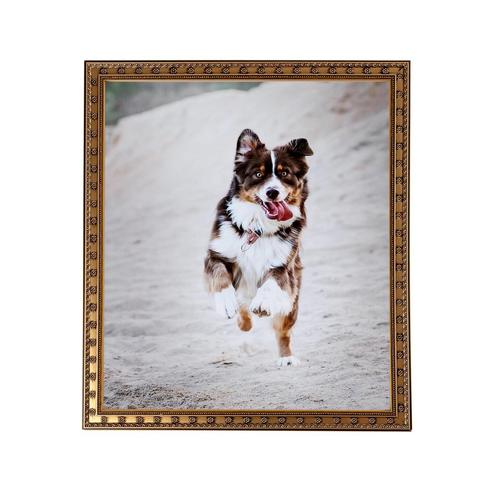 ArtToFrames 22x28 Inch Gold Picture Frame, This 0.75 Inch Custom Wood Poster Frame is Gold with Star - Comes with Foam Backing 3/16 inch and Regular Acrylic (FBPLD9329-22x28)