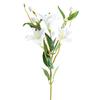 Artificial Hanging Plants, 10PCS Plastics Fake Plants Greenery, Faux Eucalyptus Vine Mandala Vine for Wall Home Room Office Indoor Decor view 1