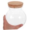 Mobestech Glass Tea Canister with Cork Stopper Airtight Storage Jar for Tea and Candy Capacity for Moisture Control and Freshness view 4