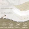 QuiltMuse Quilts Queen Size - 100% Cotton Quilt Set with Matching Shams, Botanical Floral Design Farmhouse Bedspread, 3 Pieces Summer Lightweight Coverlet Set with Solid Reverse, Khaki/White view 4