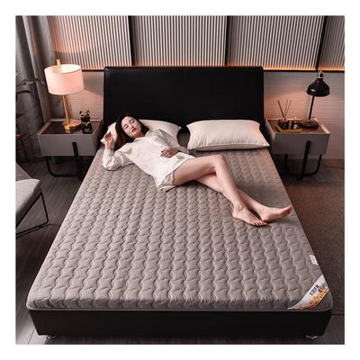 UNbit Mattress matelas Mattress Japanese Tatami Mattress Cotton,Thicken Sleeping Pad Roll Up Guest Mattress Floor Bed,Filled with Soy Protein Fiber WEWYQSJXBXF-4129(Color:,Size:100x200CM)
