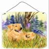 212 Main - 12 x 16 in. Golden Retriever Aluminum Metal Wall & Door Hanging Prints view 1