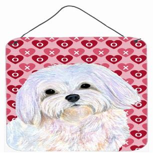 212 Main Maltese Hearts Love and Valentines Day Portrait Aluminium Metal Wall Or Door Hanging Prints - 12 x 16 inch