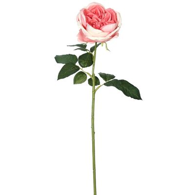 25 in. Open Rose Stem Dark Pink