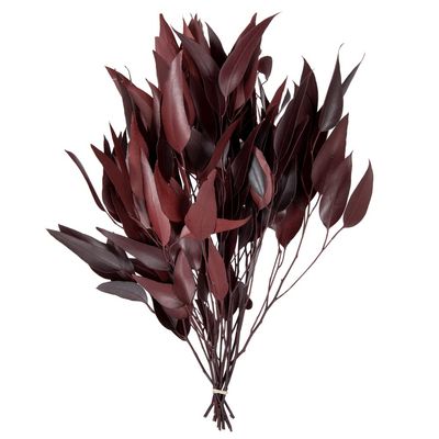 212 Main 18-20 x 8 inch Eucalyptus Willow Red Bunch, 5-6 oz
