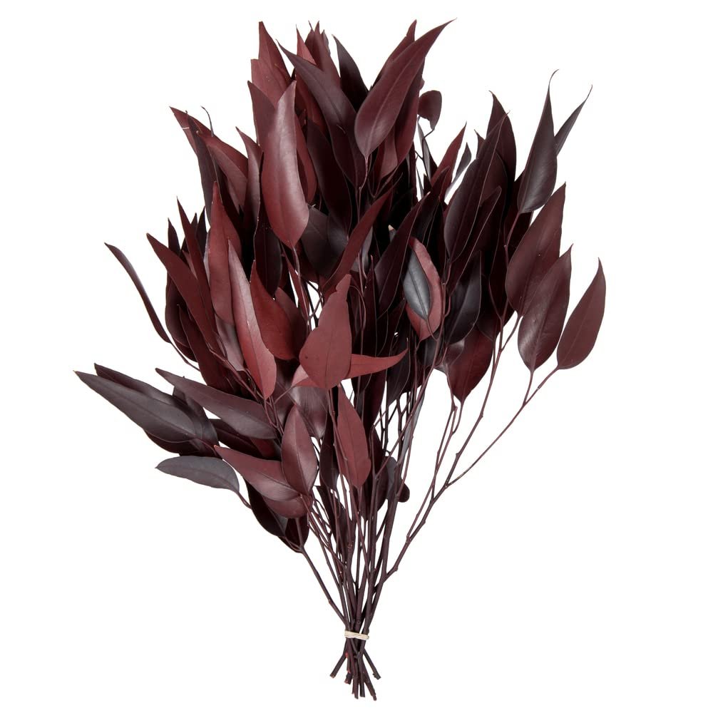 212 Main 18-20 x 8 inch Eucalyptus Willow Red Bunch, 5-6 oz