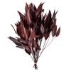212 Main 18-20 x 8 inch Eucalyptus Willow Red Bunch, 5-6 oz view 1