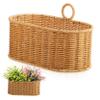 Alipis Wall Hanging Storage Basket Decorative Garden Basket Wicker Basket Hanging Indoor Hanging Basket Garden Hanging Basket Wall Basket Storage Serving Wicker Baskets Vegetable Plastic view 1