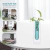 PRETYZOOM Unique Glass Plant Vase Double-Layer Test Tube Vase Decor for Indoor Plants view 2