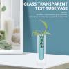 PRETYZOOM Unique Glass Plant Vase Double-Layer Test Tube Vase Decor for Indoor Plants view 4