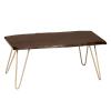 212 Main SETI Live Edge Coffee Table-Bench Elm & Gold view 1