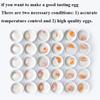 DOrorO Electric Egg Boiler - Holds Up To 50 Eggs, Hot Spring Egg Cooker For Soft, Medium Or Hard Boiled, Commercial 9L Large Capacity Intelligent Automatic Boiled Egg Cooker view 3
