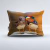 Boasorte Romantic Mandarin Duck Prints Duvet Cover Set | Wildlife Elegant Waterfowl Love Symbol Design Bedding Set | with Soft Duvet Cover+2 Pillow Shams(3pcs) or Sheet (4pcs) (B,Twin-4PCS) view 3