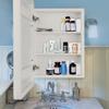 LuxyDecor Medicine Cabinets Mirror Modern Wall Mounted Mirror Cabinet Solid Wood with Storage 24" x 16" (White) view 2