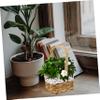 Holibanna 3pcs Hand-woven Decorative Storage Basket for Home Decor Compact Khaki Flower Arrangement Holder Multifunctional Woven Basket for Organizing and Arranging Flowers view 2
