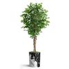 Artificial Tree in Contemporary Granite Effect Planter, Fake Ficus Silk Tree for Indoor and Outdoor Home Decoration - 66" Overall Tall (Plant Pot Plus Tree) view 2