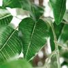 Artificial Tree in Contemporary Granite Effect Planter, Fake Ficus Silk Tree for Indoor and Outdoor Home Decoration - 66" Overall Tall (Plant Pot Plus Tree) view 4