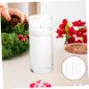 Amosfun 6 Pack Glass Cylinder Vase Candle Holders Centerpiece Decor for Wedding Office Balcony Living Room Natural Beauty view 2
