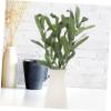 Amosfun 10pcs Artificial Olive Branch Realistic Leaves for Flower Arrangement and Photography Props for Home Decor Weddings and Festivals view 2