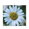 White Daisy Kitchen Absorbent Mat-Dish Drying Mat,Utensil Drying Mat-Kitchen Essential For Countertops view 1