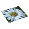 White Daisy Kitchen Absorbent Mat-Dish Drying Mat,Utensil Drying Mat-Kitchen Essential For Countertops view 2