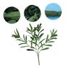 Ciieeo 12pcs Decorative Artificial Plant Plastic Plant Vines Decorations for Wedding Home Living view 2