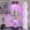 Mcltopz 64.7'' 4-Shelf Glass Display Cabinet with Door & LED Lights, Glass Curio Cabinet Display Case, 4mm Tempered Glass Storage Cabinet, Floor Standing Bookshelf for Living Room Bedroom Office Black view 3