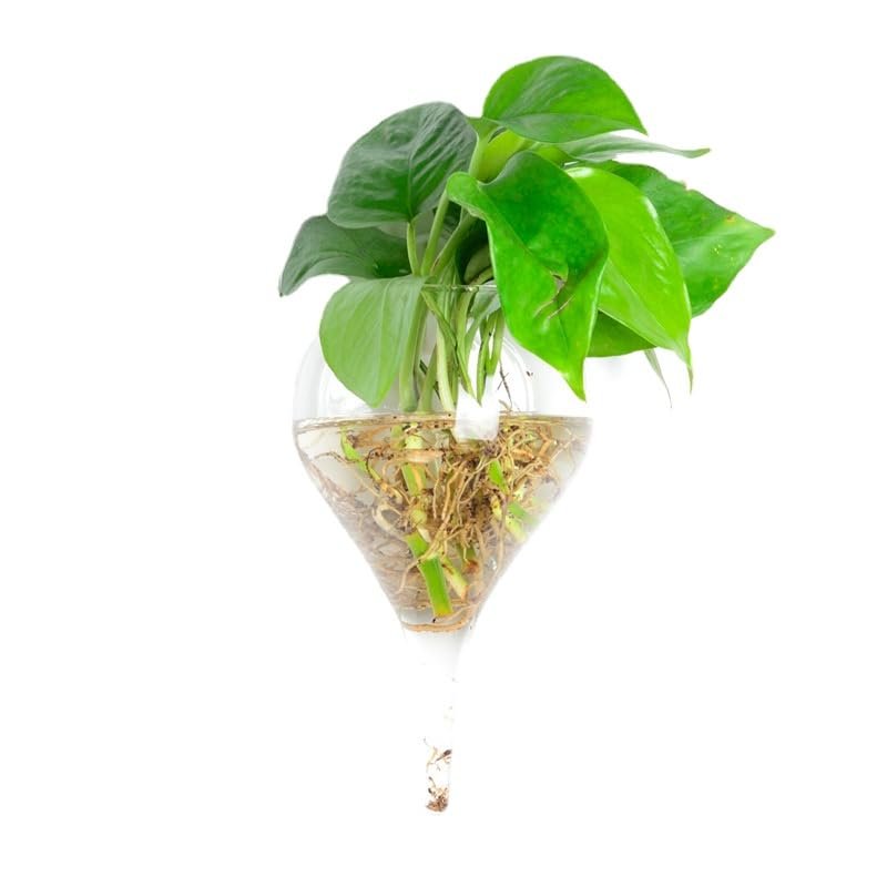 Wall Hanging Glass Plant Terrarium Container Perfect for Propagating Hydroponic Plants Home Office Garden Decor Wedding (Water Droplets (Width 10, Height 19 Centimeters))