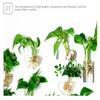 Wall Hanging Glass Plant Terrarium Container Perfect for Propagating Hydroponic Plants Home Office Garden Decor Wedding (Water Droplets (Width 10, Height 19 Centimeters)) view 3
