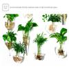 Wall Hanging Glass Plant Terrarium Container Perfect for Propagating Hydroponic Plants Home Office Garden Decor Wedding (Water Droplets (Width 10, Height 19 Centimeters)) view 4