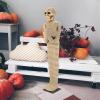 AOKWAWALIY 1Pc Skeleton Ornament Halloween Mummy Decor for Party Scary Skeleton Adorn view 2