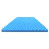 Airflow Foam Mattress Topper, Egg Crate Foam Pad, Hospital Mattress Pad and Bed Topper for Support, Pressure Relief and Weight Distribution. (Twin) view 1